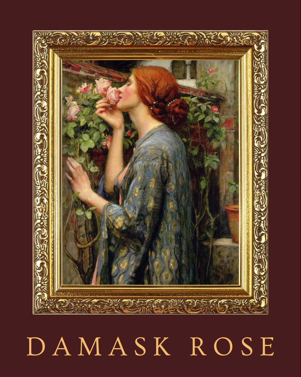 DAMASK ROSE